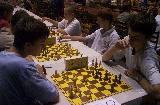 Mezinárodní Czech Open Pardubice